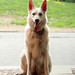 chicagodogpads posted a photo: chicagodogpads posted a photo: