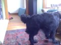 VID00009.AVI