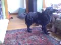 VID00009.AVI