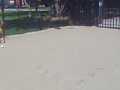 Chicago Dog Park - Churchill Park