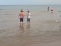 Chicago's Montrose Dog Beach